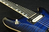 Arc-SP_Fingerboard