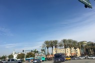 IMG_1901